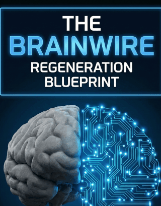FREE BONUS #2: The Brainwire Regeneration Blueprint